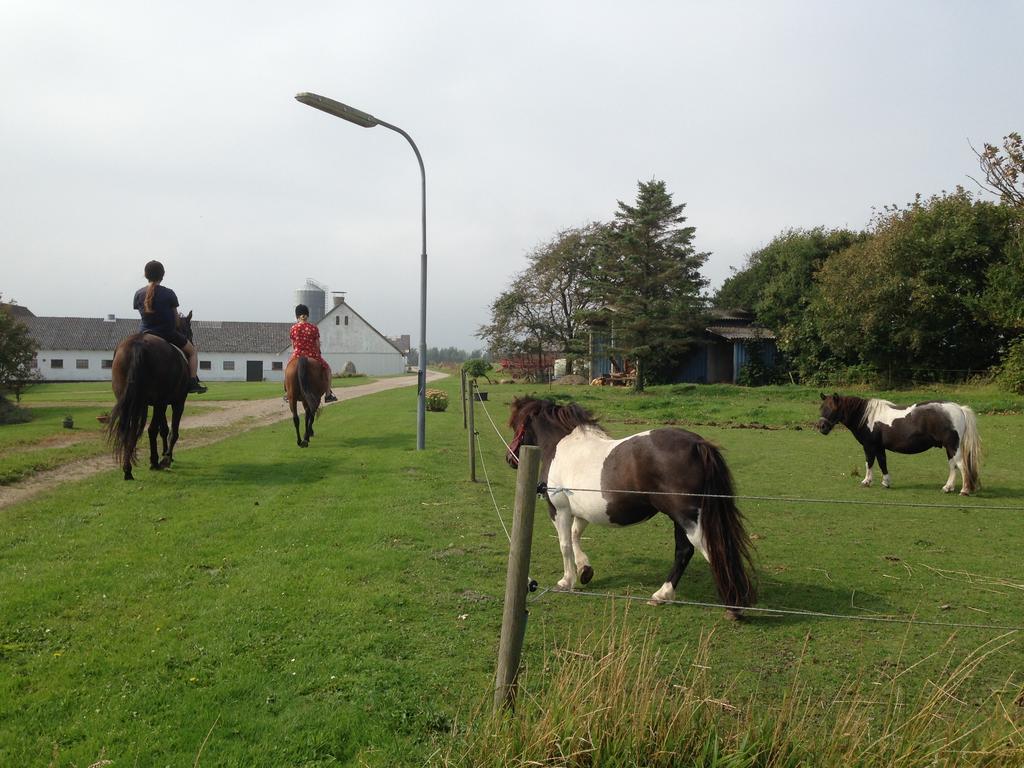 Lokken Farm Holiday Экстерьер фото